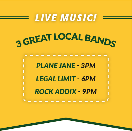 Live Music! 3 Great Local Bands